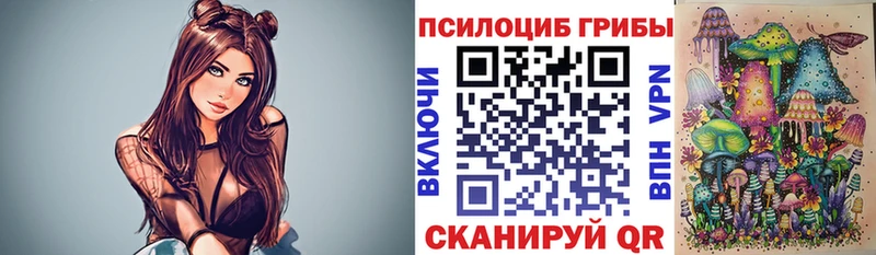 Купить  Ивдель  Галлюциногенные грибы Psilocybe 
